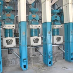 Rice Mill Dryer Manufacturer in Kerala